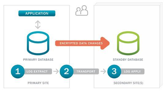 Dbvisit Database Replication
